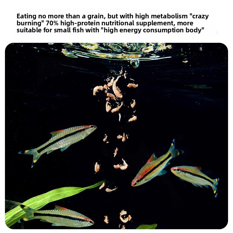 Yee Krill & Baby Shrimp Dry Fo - Dry Food Baby reseña y precio